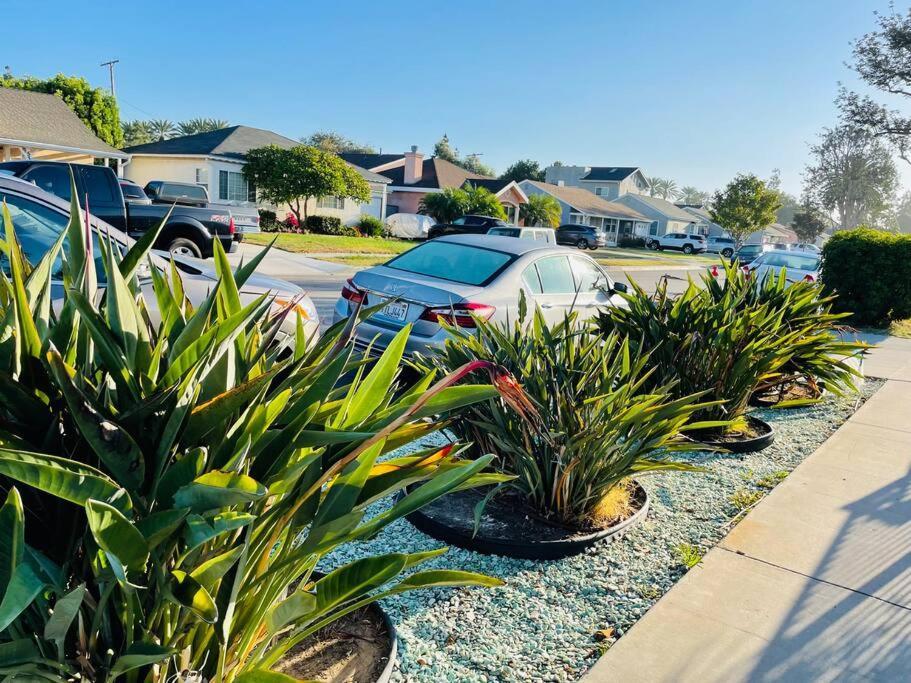 Studio-Beach-Lax Spc-X- El-Segundo-Air-Forcebase Apartment Inglewood Exterior photo